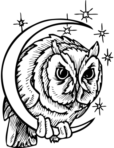 Owl In Crescent Moon Coloring Page